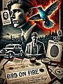 Bird on Fire Novel Cover