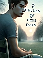 Chunks of Gone Days Novel Cover