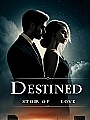 Destined Story of Love Novel Cover