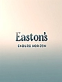 Easton Zhu’s Endless Horizon Novel Cover
