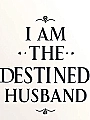 I am The Destined Husband Novel Cover