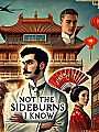 Not The Sideburns I Know Novel Cover