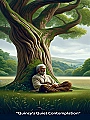 Quincy's Quiet Contemplation Novel Cover
