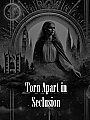 Torn Apart in Seclusion Novel Cover