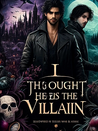 I Thought He Is the Villain Novel Cover